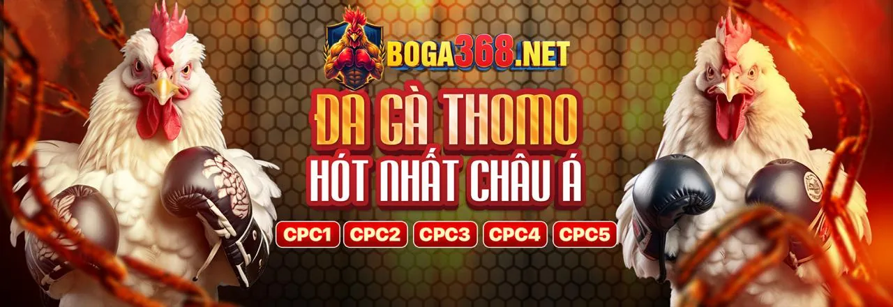 Hình ảnh đại diện cho chơi có trách nhiệm tại 88a a